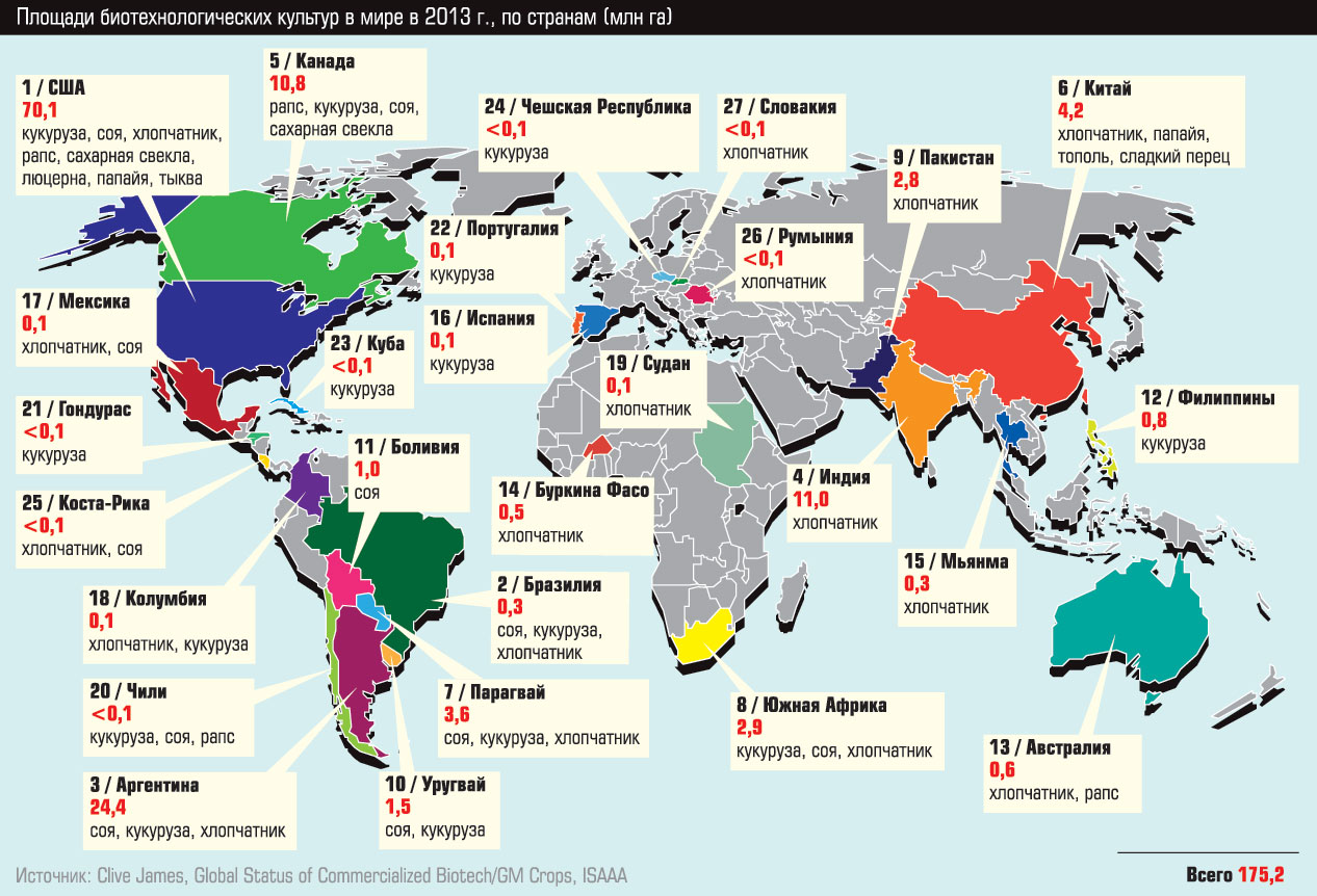 Страны выращивающие хлопок. Распространение ГМО В мире. Статистика стран по производству ГМО. Карта распространения ГМО В мире.