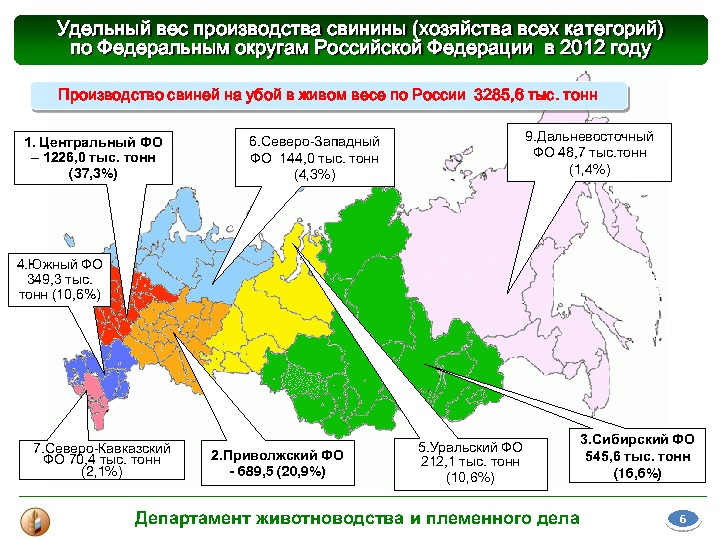 Животноводство регионы. Районы производства свиноводства. Районы животноводства в России. Районы свиноводства в России. Свиноводство районы размещения.